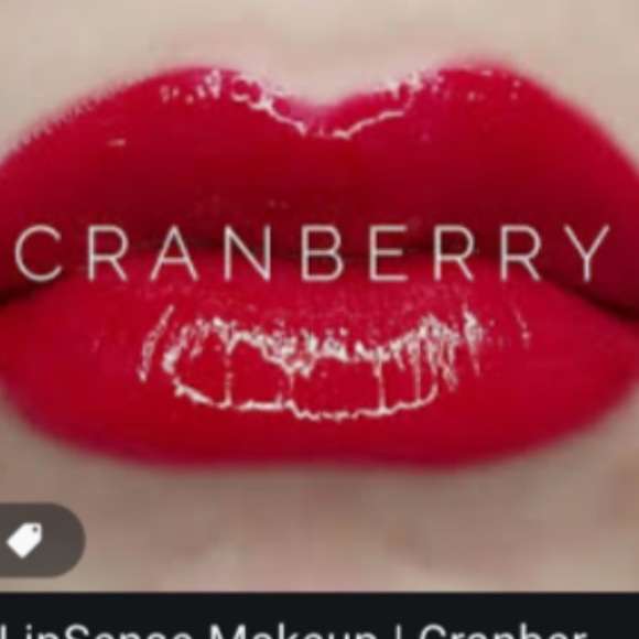SeneGence Other - Lipsense in cranberry SeneGence Other - Lipsense in cranberry